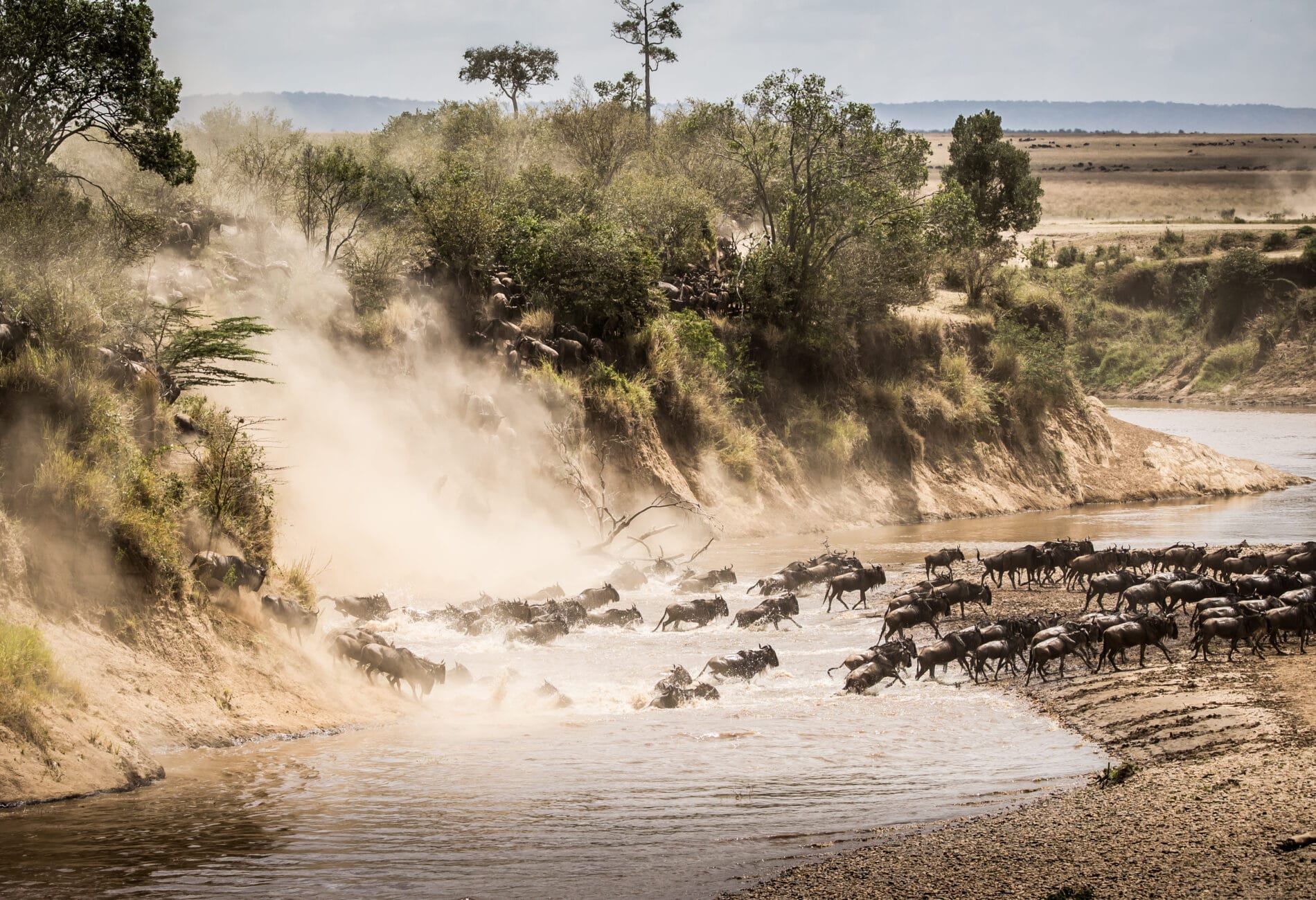 Private Tanzania safari tours